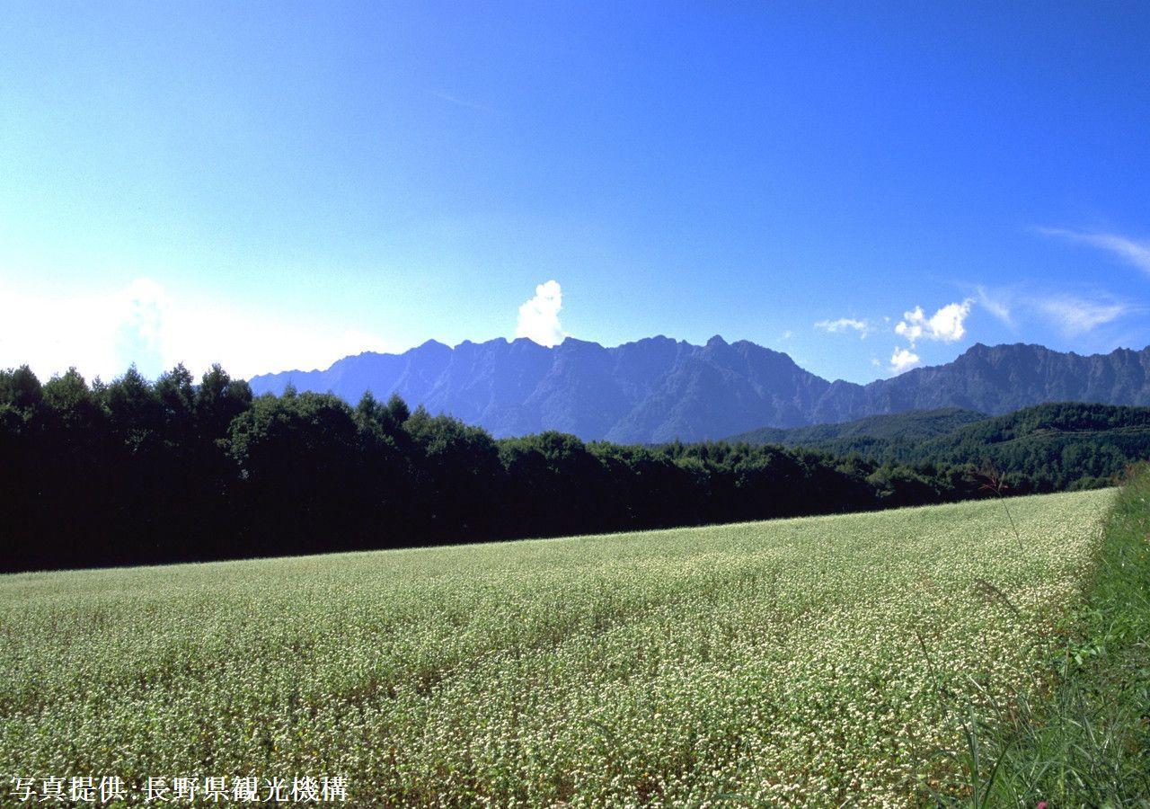 Отель Shioriya Нагано Экстерьер фото