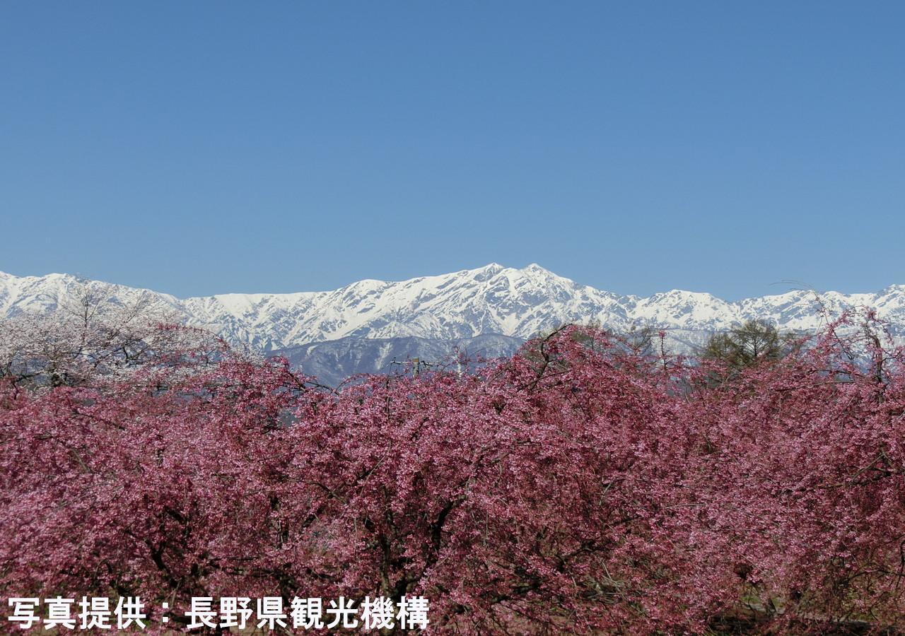 Отель Shioriya Нагано Экстерьер фото